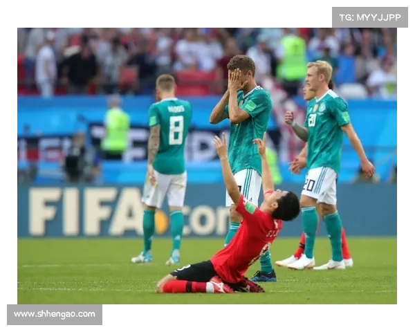 2023法国对波兰世界杯比赛全方位观赏指南与赛前分析